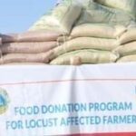 Lions Food distribution In Somalia